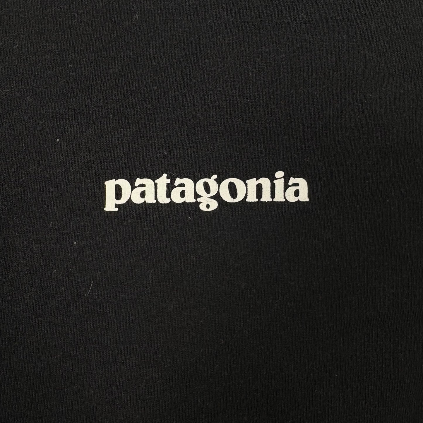 (XL) Patagonia Black T-Shirt